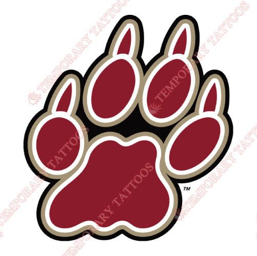 Lafayette Leopards Customize Temporary Tattoos Stickers NO.4763